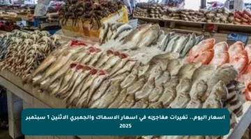 أسعار اليوم.. تغيرات مفاجئة في أسعار الأسماك والجمبري الاثنين 1 سبتمبر 2025